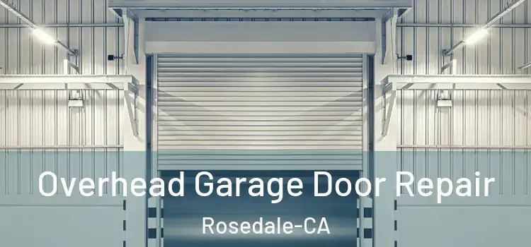  Overhead Garage Door Repair Rosedale-CA