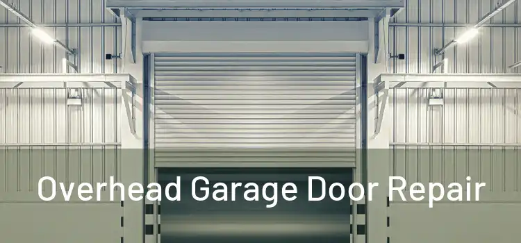  Overhead Garage Door Repair 